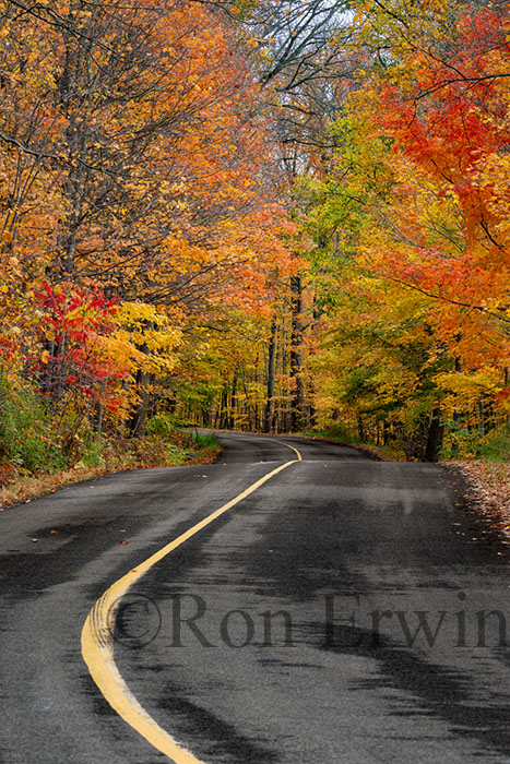 Grimmon's Woods in Autumn