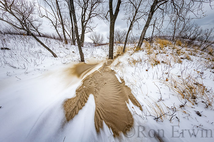 Lakeshore Beach, Sandbanks