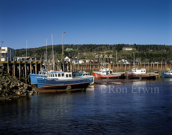 Low Tide at Alma, NB