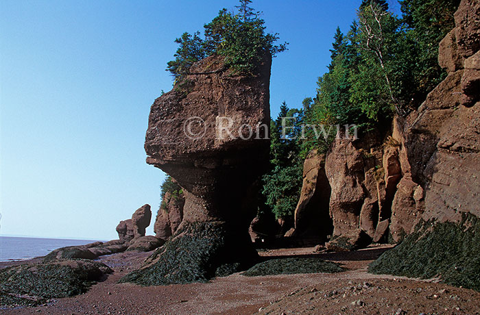 Hopewell Rocks, New Brunswick