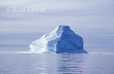 La Scie Iceberg