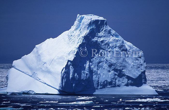 Iceberg at La Scie, NL