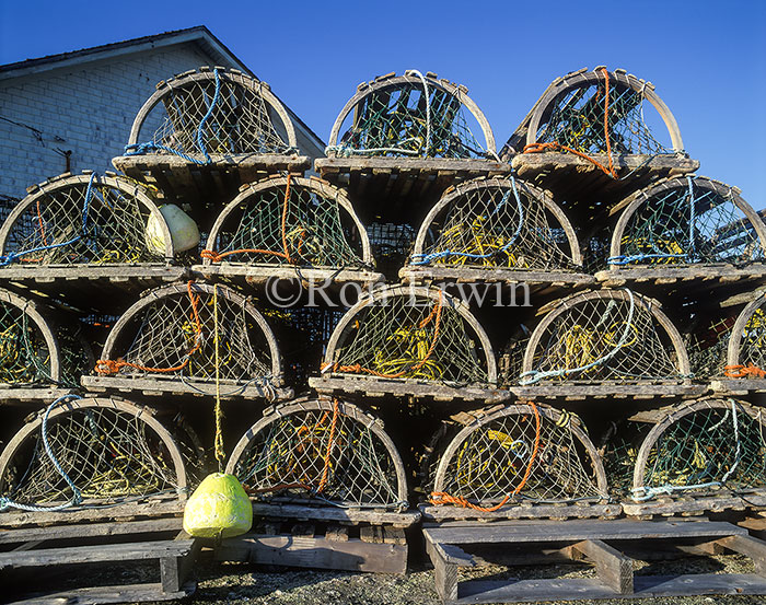 Lobster Traps