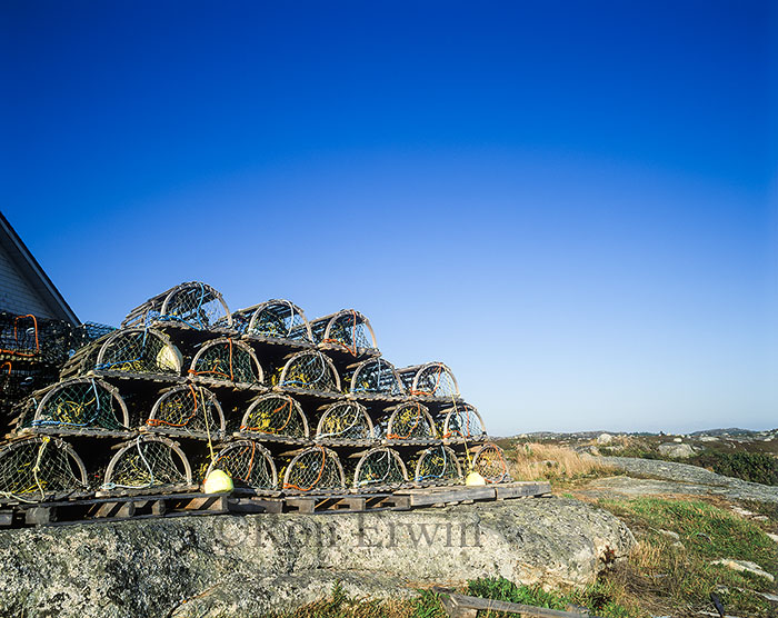 Lobster Traps