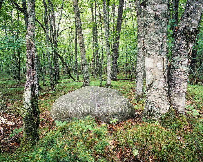 Kejimkujik National Park, Nova Scotia
