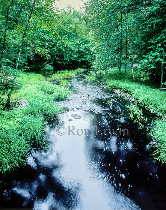 Kejimkujik National Park, Nova Scotia