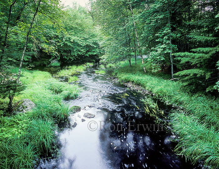 Kejimkujik National Park, NS