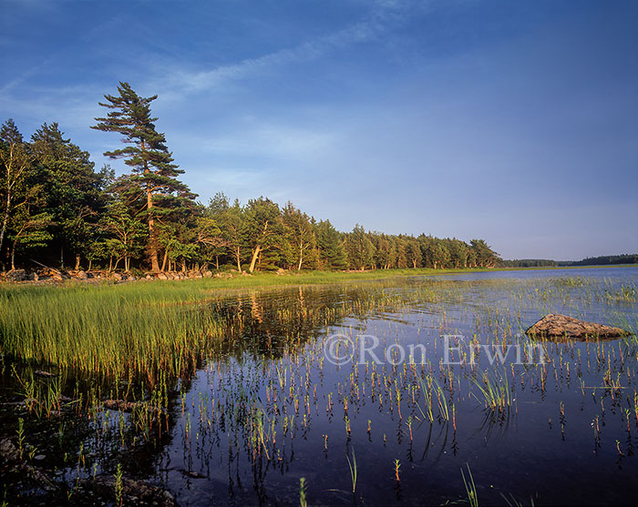 Kejimkujik National Park, NS