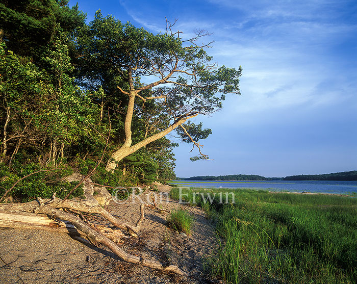 Kejimkujik National Park, NS
