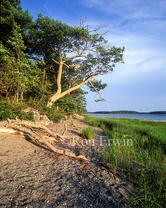 Kejimkujik National Park, NS