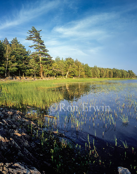 Kejimkujik National Park, NS