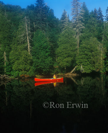 Paddling in the Wilderness