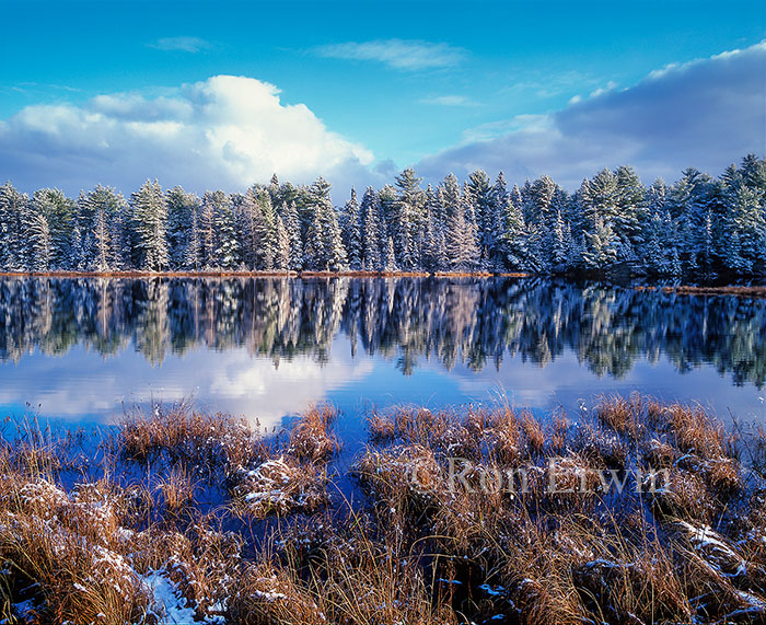 Mew Lake, Algonquin, ON