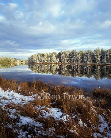 Mew Lake Winter