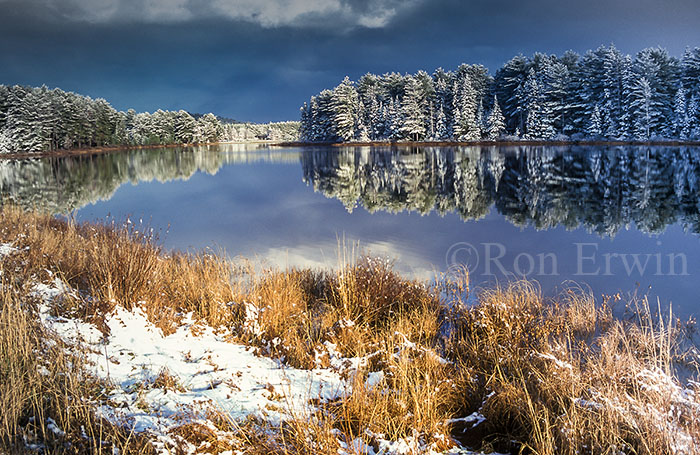 Algonquin, ON in Winter