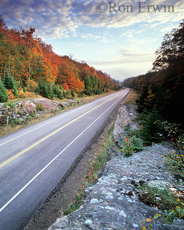 Algonquin Autumn