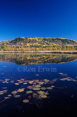 Algonquin Autumn