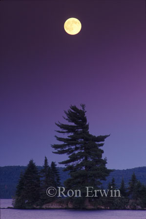 Algonquin Moon