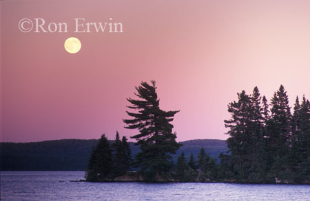 Algonquin Moon