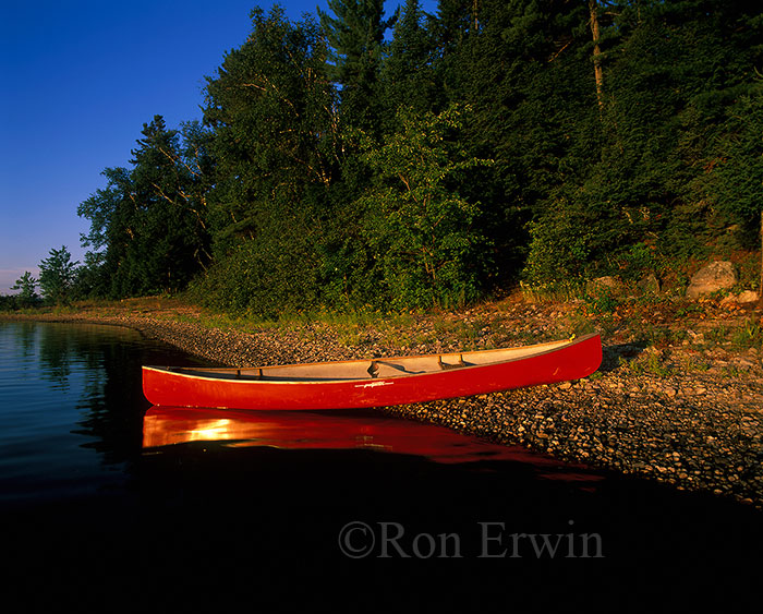 Algonquin Park, ON