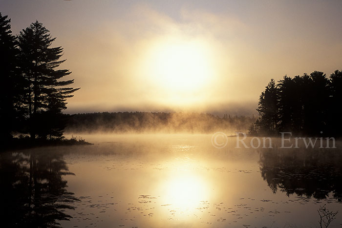 Algonquin Sunrise