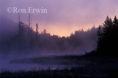 Algonquin Sunrise