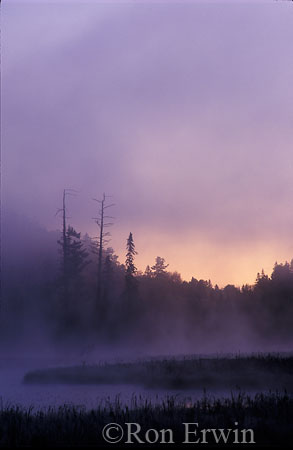 Algonquin Sunrise