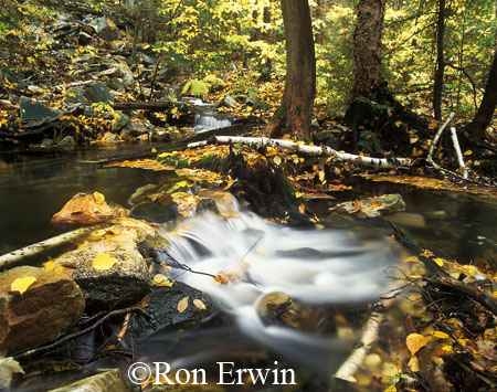 Notch Creek