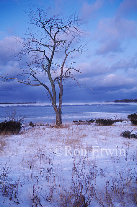Julia Bay, Manitoulin Island ON