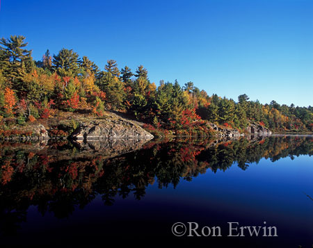 Fall on Highway 69