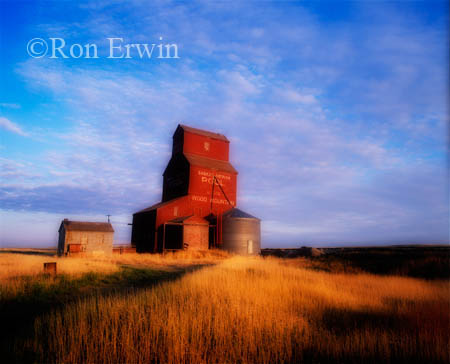 Grain Elevator