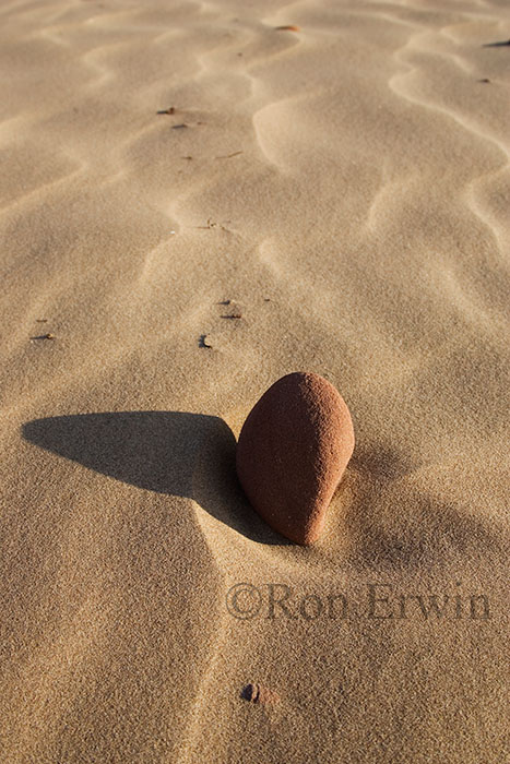 Drifting Sand