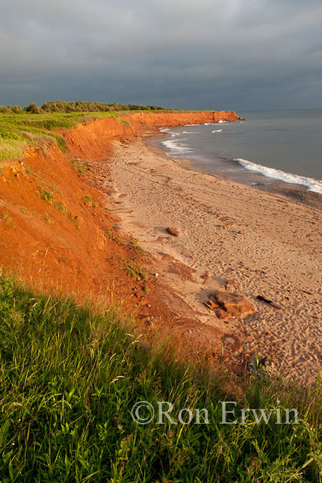 Eroding PEI Shoreline