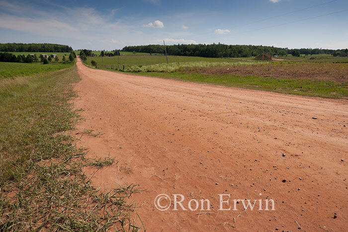 PEI Red Dirt Road