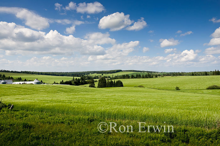 PEI Farm