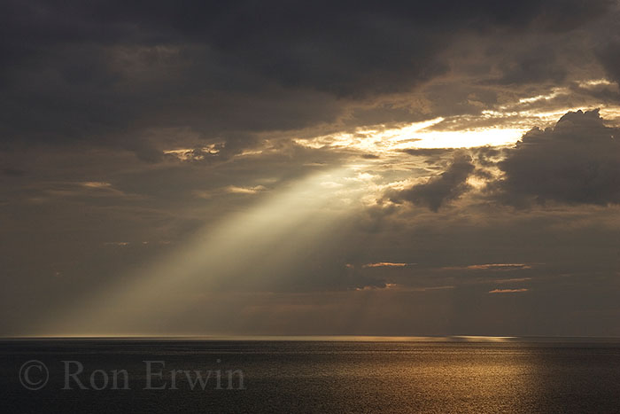 Rays of Hope