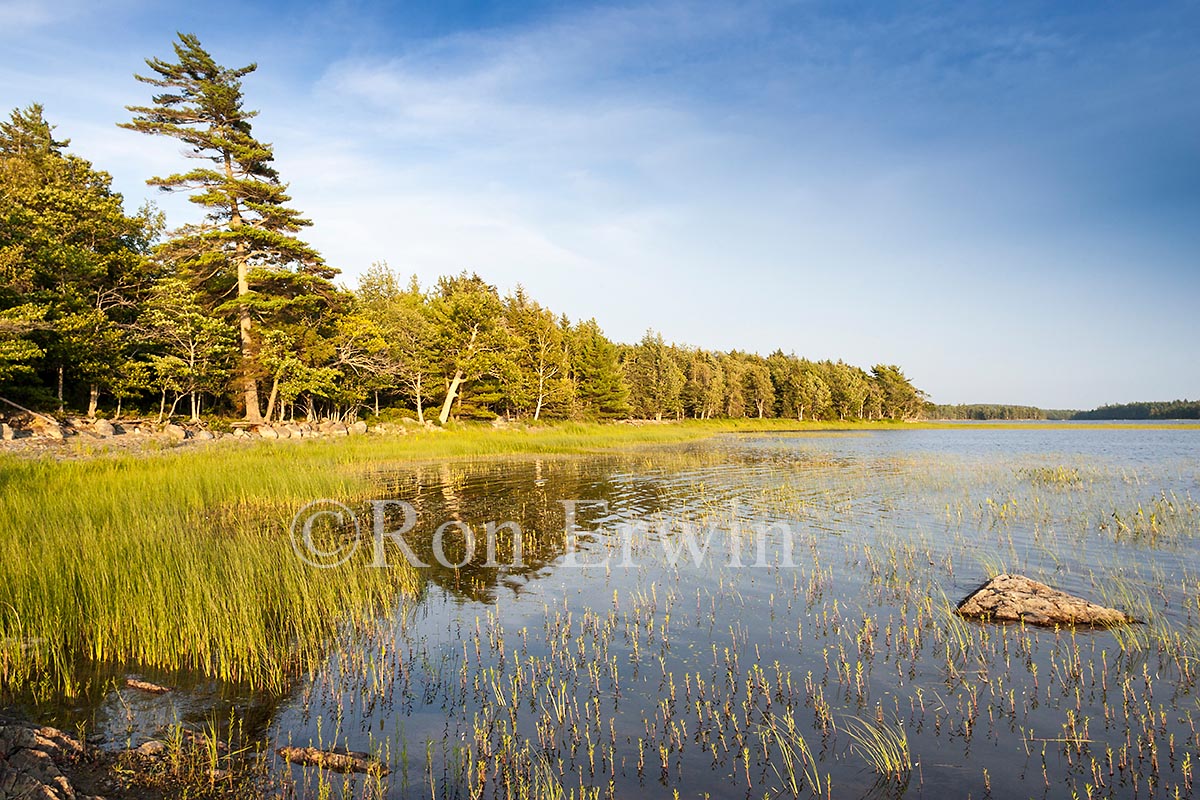 Kejimkujik National Park, NS