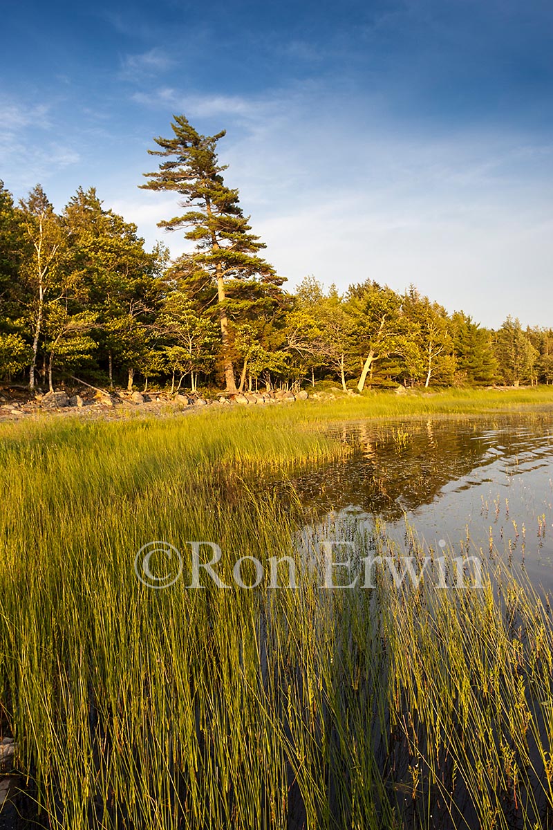 Kejimkujik National Park, NS