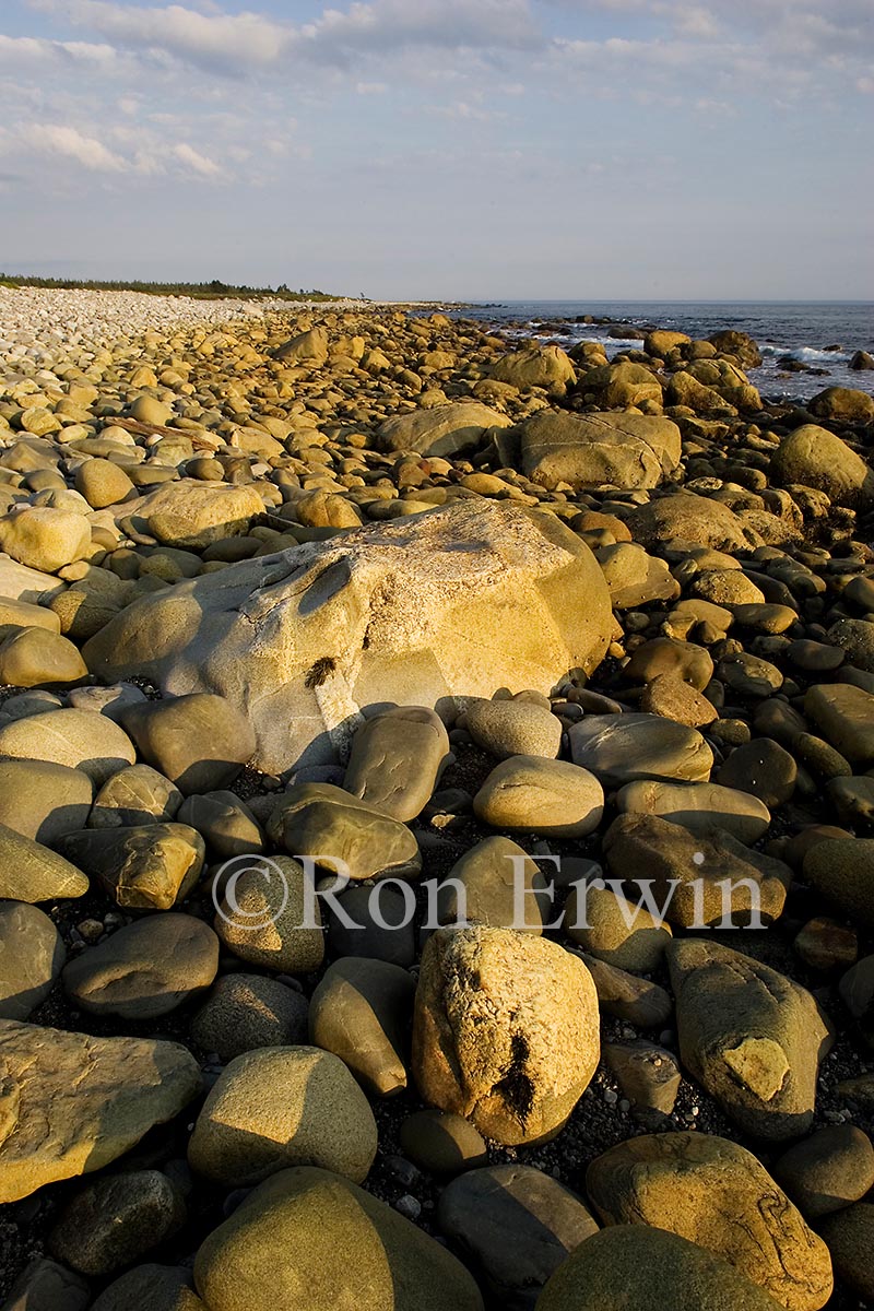 Beach Boulders, NS