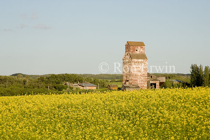 Grain Elevator