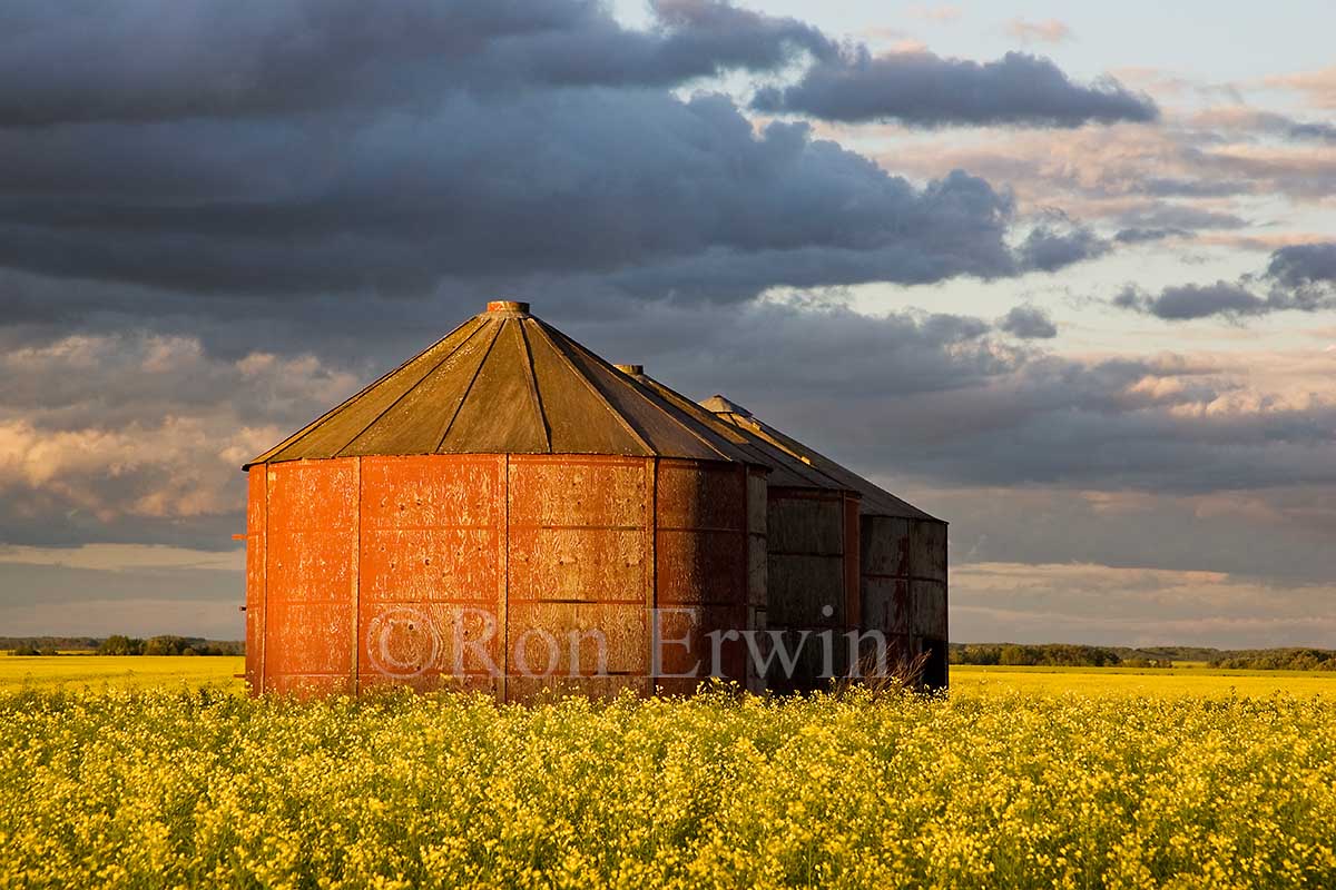 Saskatchewan Granary
