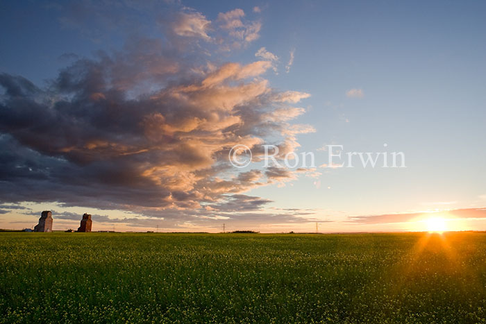 Land of the Living Skies 