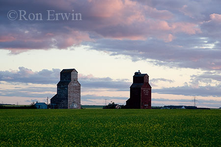 Lepine Grain Elevators