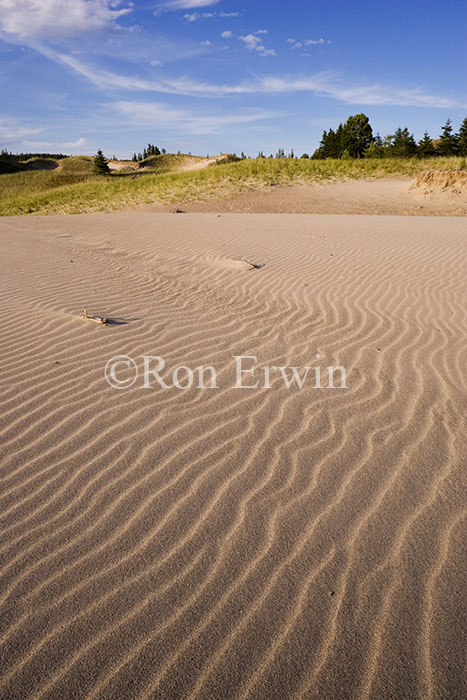 Lake Superior Dunes