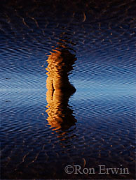 Self Reflections