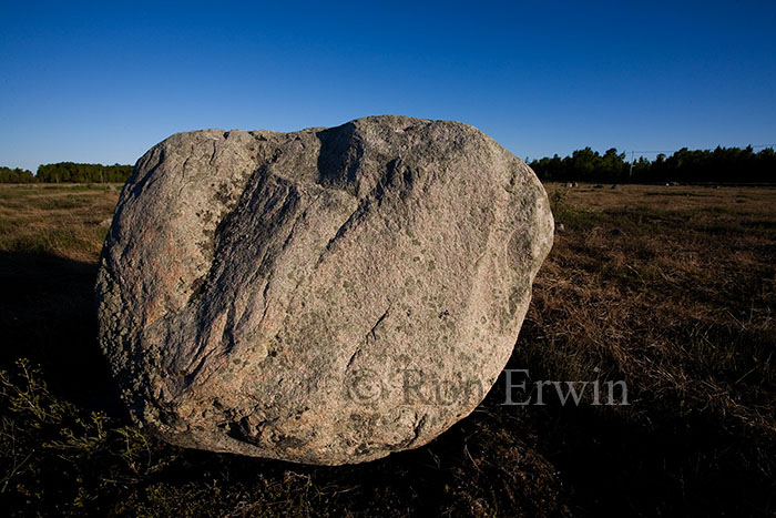 Erratic Rock