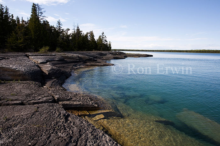 Shoreline Alvar
