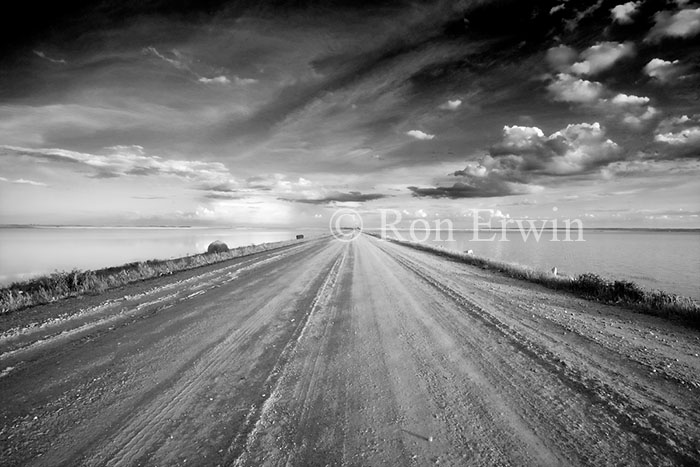 Road Across Reed Lake, SA