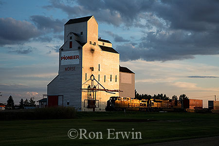 Morse Grain Elevators