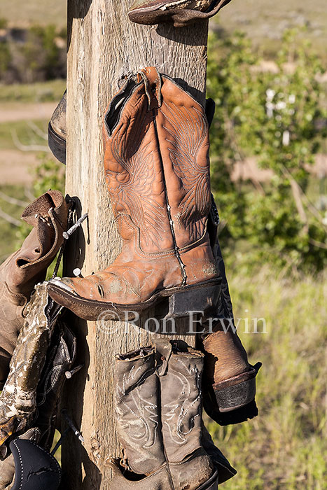 Cowboy Boots